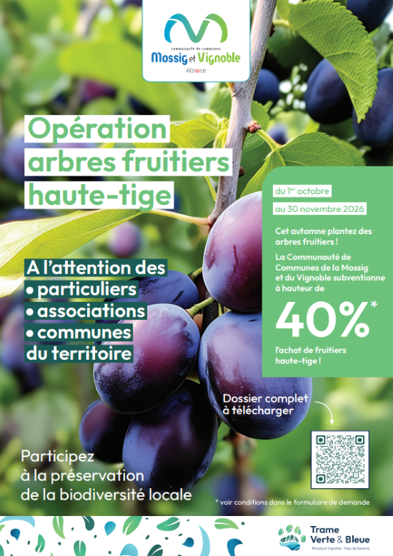 Aide à l'achat de fruitiers hautes-tiges