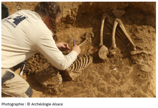 Archéologie Alsace