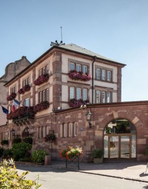 Rapport Social Unique 2024