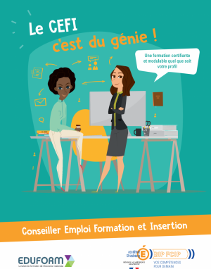 Formation : Conseiller Emploi Formation Insertion