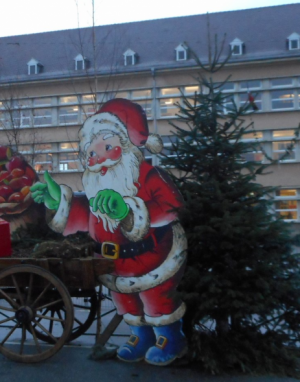 Qui possède des sapins?