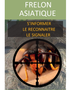Lutte contre le frelon asiatique