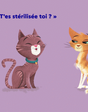 Campagne de stérilisation des chats errants