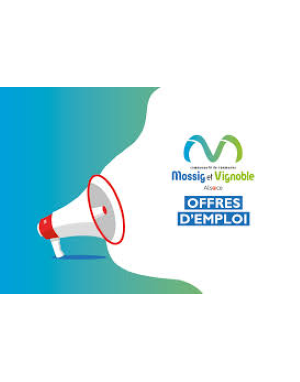 Recrutement d'un(e) assistant(e) &eacute;ducatif petite enfance