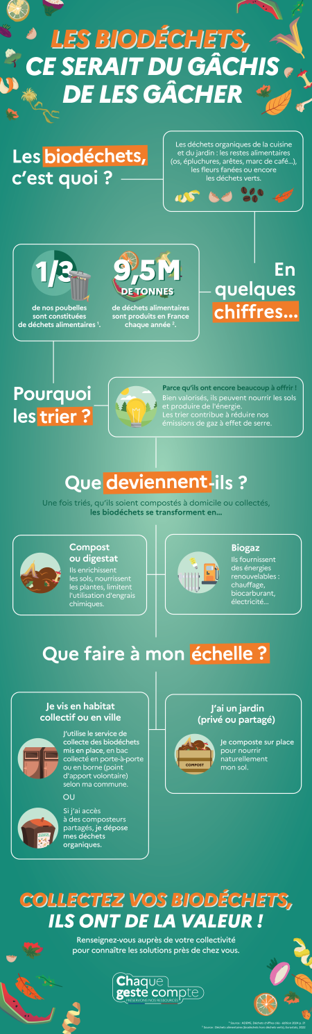 Infographie biodéchets