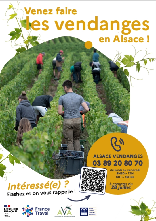 Offre d'emploi vendanges