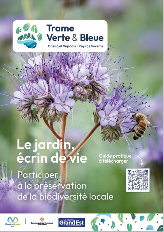 Trame verte et bleue