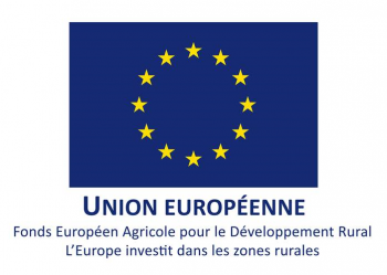 Logo-UE-web (002)